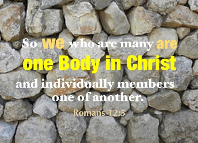 Our Need to See a Revelation of the Body of Christ: We are Members of the Body! Rom 12:5 So we who are many are one Body in Christ and individually members one of another