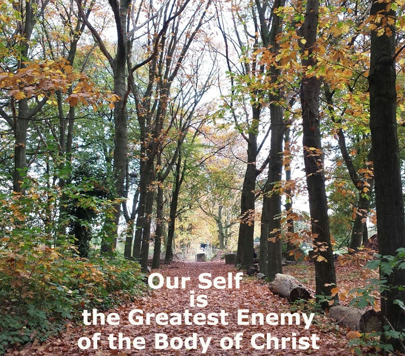 Our Self is the Greatest Enemy of the Body: We Need to Deny it and Live by God's Life