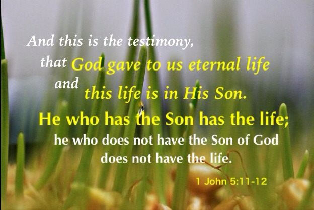 And this is the testimony, that God gave to us eternal life, and this life is in His Son. He who has the Son has the life; he who does not have the Son of God, does not have the life (1 John 5:11-12) . We Need to Take Christ as our Person for the One New Man who Fulfills God's Plan