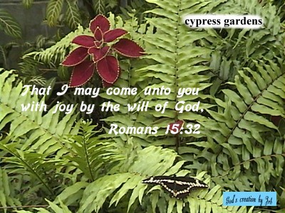 Taking Christ as our Person in our Decisions and our Daily Living for the New Man. Romans 15:32, So that coming to you in joy through the will of God, I may refresh myself and rest with you