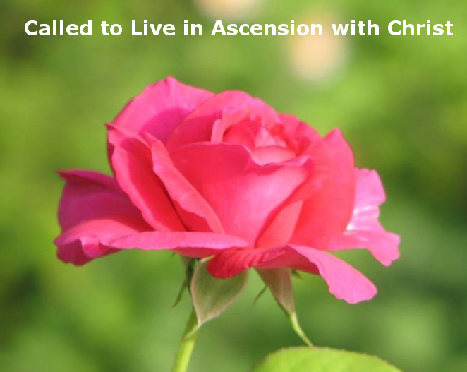 We are Called to Live with Christ in His Ascension, as Seen in Song of Songs