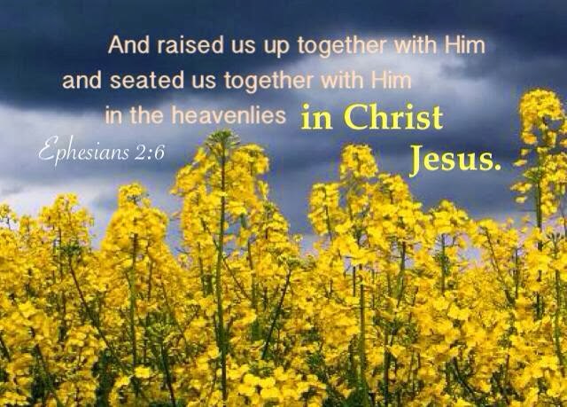 A Mature Believer is Full of the Life of Christ and he's in the Position of Ascension (see Eph. 2:6)