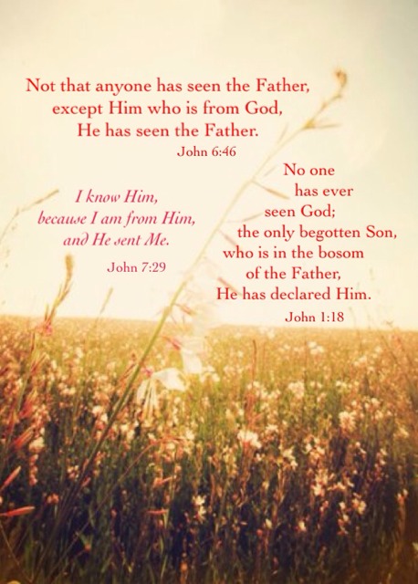 In the Triune God, the Father is the Source and the Son is the Expression (part 1). See John 6:46; 7:29; 1:18