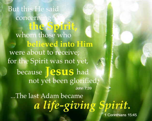 The Triune God Went Through a Process Economically and Became "the Spirit" (see John 7:39 and 1 Cor. 15:45b)