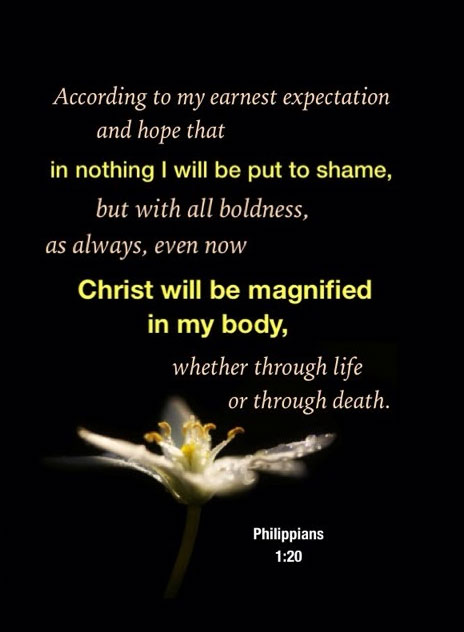 We Need to Live the Life of a God-man for the New Man as the Corporate God-man (see Phil. 1:19-21)