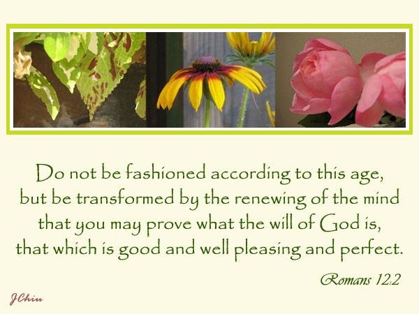 The Greatest Hindrance to the One New Man and How can We be Renewed in Our Mind. Rom. 12:2 And do not be fashioned according to this age, but be transformed by the renewing of the mind that you may prove what the will of God is, that which is good and well pleasing and perfect.