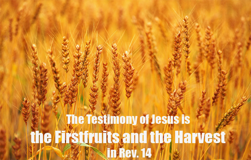 The Testimony of Jesus is the Firstfruits and the Harvest in Rev. 14