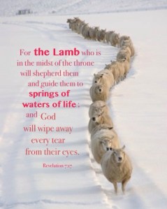 The Testimony of Jesus is the Great Multitude and the Bright Woman with her Man-child. Rev. 7:17 for the Lamb who is in the midst of the throne will shepherd them and guide them to springs of water of life