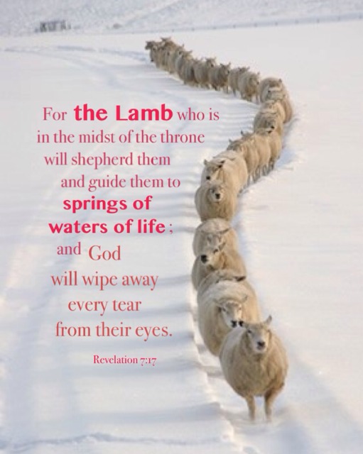 The Testimony of Jesus is the Great Multitude and the Bright Woman with her Man-child. Rev. 7:17 for the Lamb who is in the midst of the throne will shepherd them and guide them to springs of water of life