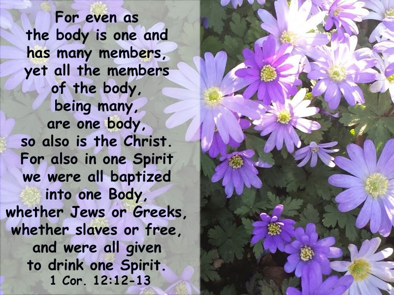 The Good Land is the Church, the Enlarged Christ; the Church should be our Living! 1 Cor. 12:12-13 For even as the body is one and has many members, yet all the members of the body, being many, are one body, so also is the Christ. For also in one Spirit we were all baptized into one Body, whether Jews or Greeks, whether slaves or free, and were all given to drink one Spirit.