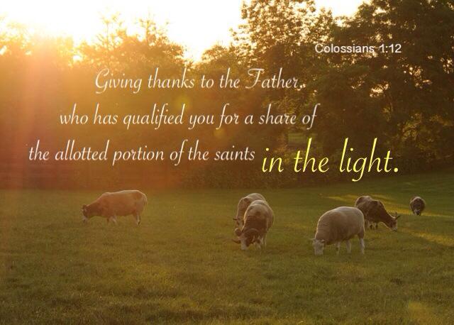The All-Inclusive Christ is our Allotted Portion of the Good Land: Walk in Him! Col. 1:12 Giving thanks to the Father, who has qualified you for a share of the allotted portion of the saints in the light.