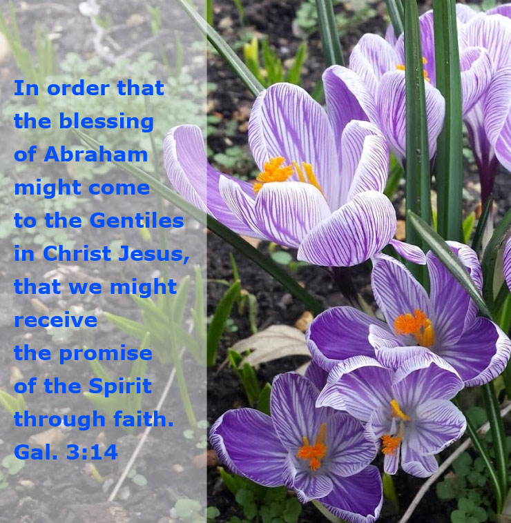 The Good Land is Christ as the All-Inclusive Compound Spirit with our Spirit. Gal. 3:14, In order that the blessing of Abraham might come to the Gentiles in Christ Jesus, that we might receive the promise of the Spirit through faith