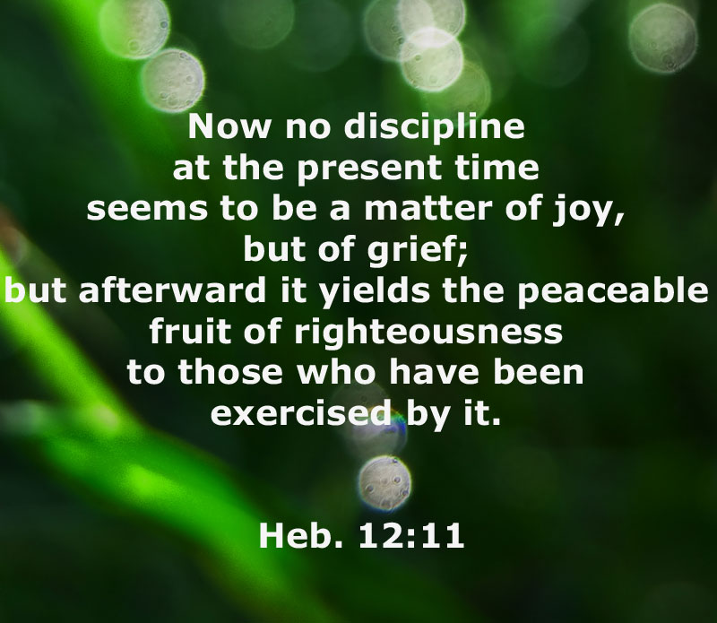 Further Aspects of the God of Abraham, the God of Isaac, and the God of Jacob. Heb. 12:11, Now no discipline at the present time seems to be a matter of joy, but of grief; but afterward it yields the peaceable fruit of righteousness to those who have been exercised by it