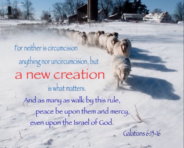 Gal 6:15-16 For neither is circumcision anything nor uncircumcision, but a new creation is what matters. And as many as walk by this rule, peace be upon them and mercy, even upon the Israel of God. The Church is the Real Israel of God: We are the Sons of God and the Israel of God!