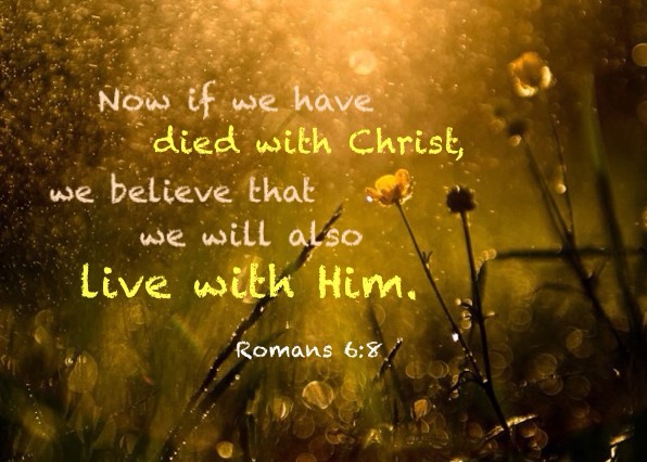 Rom. 6:8 Now if we have died with Christ, we believe that we will also live with Him