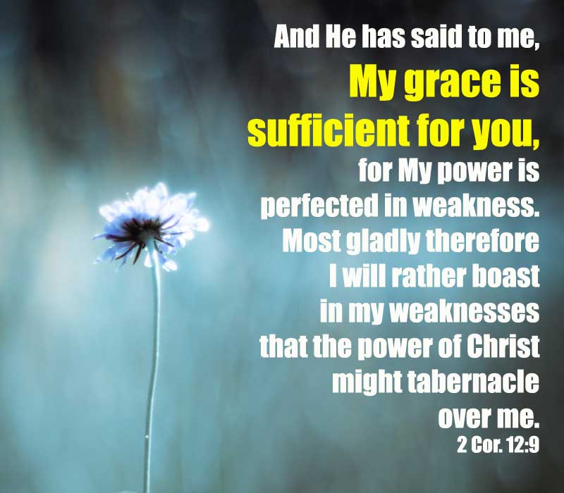 2 Cor. 12:9 And He has said to me, My grace is sufficient for you, for My power is perfected in weakness. Most gladly therefore I will rather boast in my weaknesses that the power of Christ might tabernacle over me.