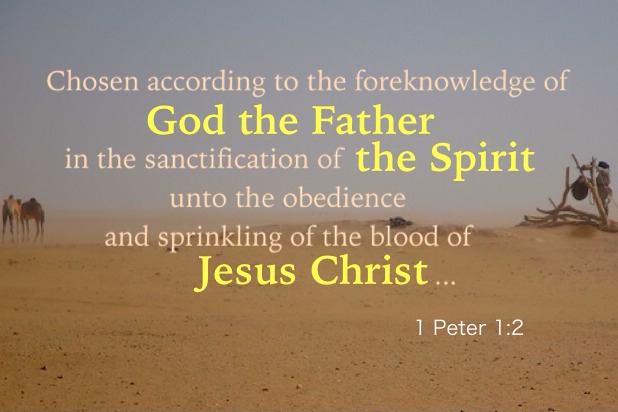 1 Peter 1:2 Chosen according to the foreknowledge of God the Father in the sanctification of the Spirit unto the obedience and sprinkling of the blood of Jesus Christ: Grace to you and peace be multiplied.