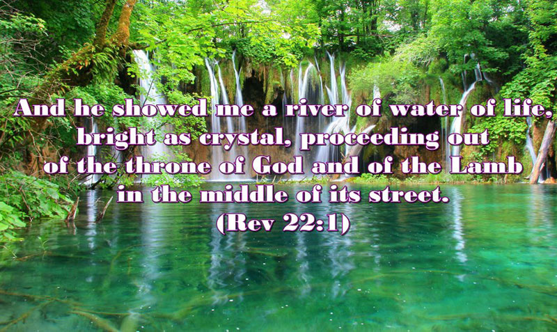 Revelation 22:1 And he showed me a river of water of life, bright as crystal, proceeding out of the throne of God and of the Lamb in the middle of its street.