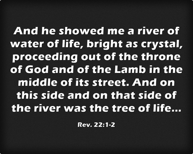 Rev. 22:1-2 And he showed me a river of water of life, bright as crystal, proceeding out of the throne of God and of the Lamb in the middle of its street. And on this side and on that side of the river was the tree of life...