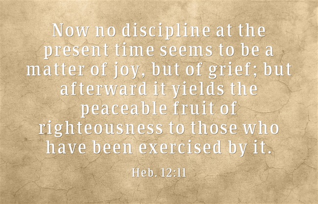 Heb. 12:11 Now no discipline at the present time seems to be a matter of joy, but of grief; but afterward it yields the peaceable fruit of righteousness to those who have been exercised by it.