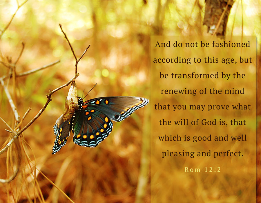 Rom. 12:2 And do not be fashioned according to this age, but be transformed by the renewing of the mind that you may prove what the will of God is, that which is good and well pleasing and perfect.