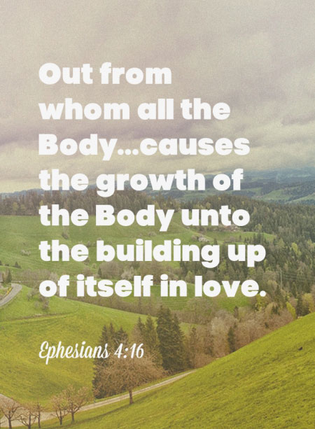 Ephesians 4:16 Out from whom all the Body...causes the growth of the Body unto the building up of itself in love.