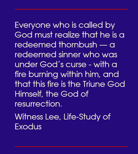 Everyone who is called by God must realize that he is a redeemed thornbush — a redeemed sinner who was under God’s curse - with a fire burning within him, and that this fire is the Triune God Himself, the God of resurrection. (Witness Lee, Life-Study of Exodus)
