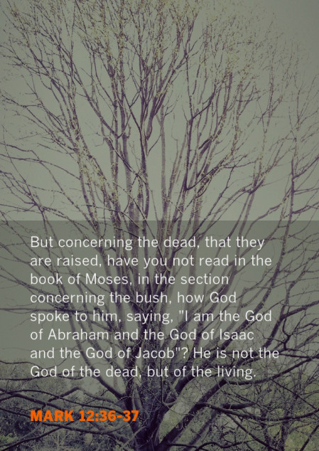 Mark 12:36-37 But concerning the dead, that they are raised, have you not read in the book of Moses, in the section concerning the bush, how God spoke to him, saying, "I am the God of Abraham and the God of Isaac and the God of Jacob"? He is not the God of the dead, but of the living.