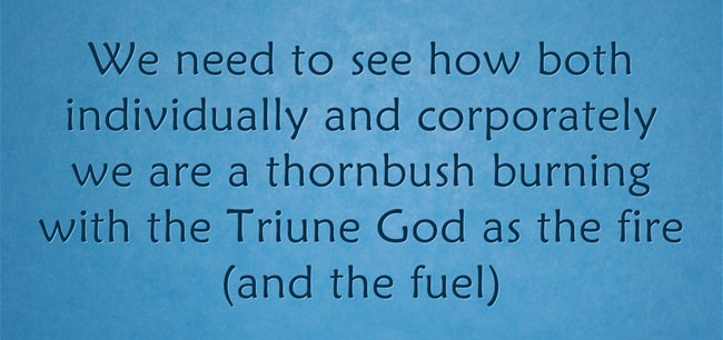 We need to see how both individually and corporately we are a thornbush burning with the Triune God as the fire (and the fuel)