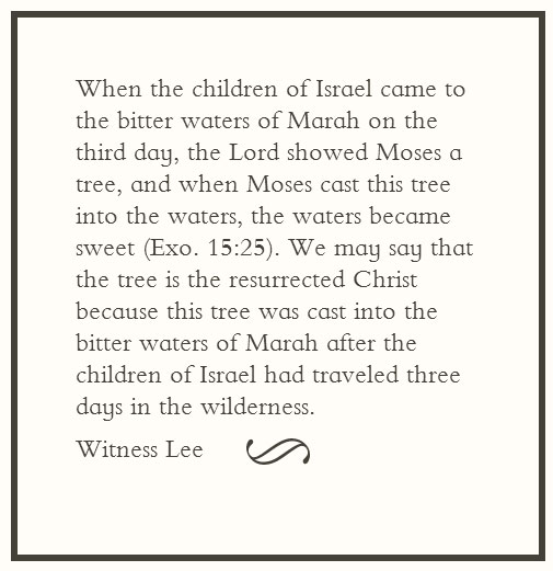 When the children of Israel came to the bitter waters of Marah on the third day, the Lord showed Moses a tree, and when Moses cast this tree into the waters, the waters became sweet (Exo. 15:25). We may say that the tree is the resurrected Christ because this tree was cast into the bitter waters of Marah after the children of Israel had traveled three days in the wilderness. (Witness Lee)