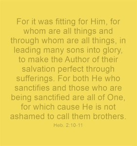 For it was fitting for Him, for whom are all things and through whom are all things, in leading many sons into glory, to make the Author of their salvation perfect through sufferings. For both He who sanctifies and those who are being sanctified are all of One, for which cause He is not ashamed to call them brothers. Heb. 2:10-11, Recovery Version Bible