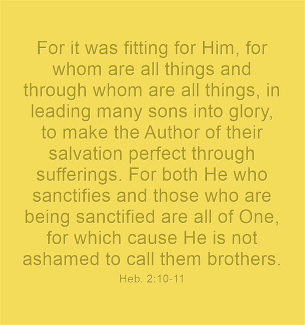 For it was fitting for Him, for whom are all things and through whom are all things, in leading many sons into glory, to make the Author of their salvation perfect through sufferings. For both He who sanctifies and those who are being sanctified are all of One, for which cause He is not ashamed to call them brothers. Heb. 2:10-11, Recovery Version Bible