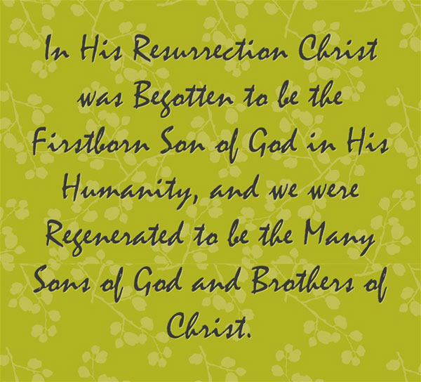 In His Resurrection Christ was Begotten to be the Firstborn Son of God in His Humanity, and we were Regenerated to be the Many Sons of God and Brothers of Christ