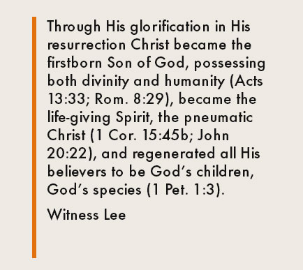 Through His glorification in His resurrection Christ became the firstborn Son of God, possessing both divinity and humanity (Acts 13:33; Rom. 8:29), became the life-giving Spirit, the pneumatic Christ (1 Cor. 15:45b; John 20:22), and regenerated all His believers to be God’s children, God’s species (1 Pet. 1:3). Witness Lee