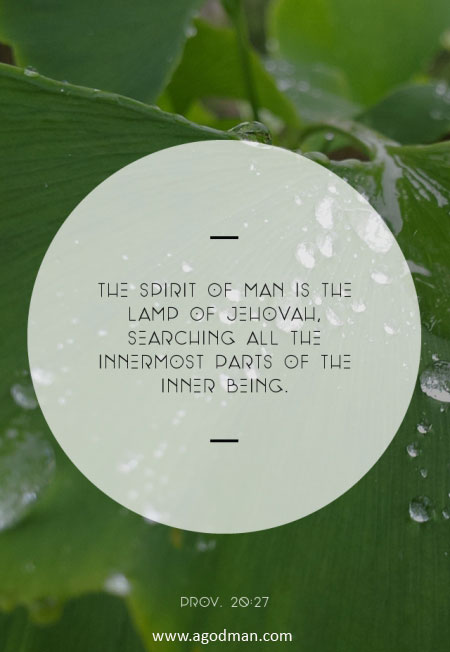 Prov. 20:27 The spirit of man is the lamp of Jehovah, Searching all the innermost parts of the inner being.
