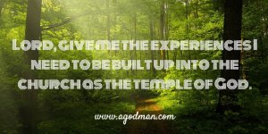 Lord, give me the experiences I need to be built up into the church as the temple of God.