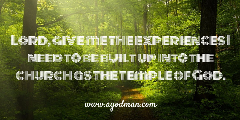 Lord, give me the experiences I need to be built up into the church as the temple of God.