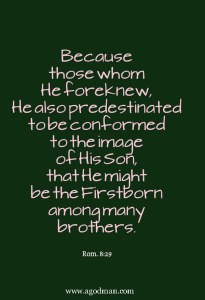 Rom. 8:29 Because those whom He foreknew, He also predestinated to be conformed to the image of His Son, that He might be the Firstborn among many brothers.