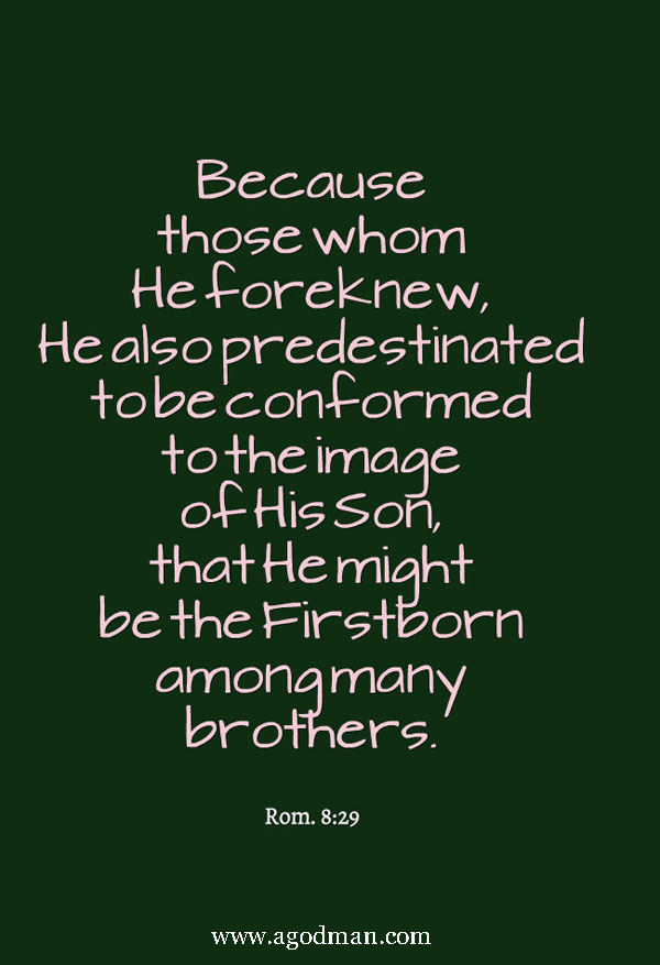 Rom. 8:29 Because those whom He foreknew, He also predestinated to be conformed to the image of His Son, that He might be the Firstborn among many brothers.