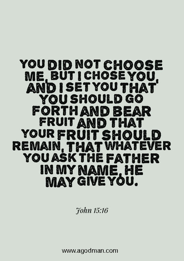 John 15:16 You did not choose Me, but I chose you, and I set you that you should go forth and bear fruit and that your fruit should remain, that whatever you ask the Father in My name, He may give you.