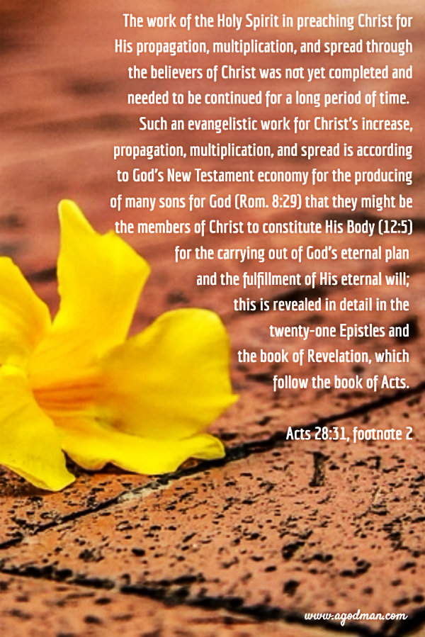 The work of the Holy Spirit in preaching Christ for His propagation, multiplication, and spread through the believers of Christ was not yet completed and needed to be continued for a long period of time. Such an evangelistic work for Christ’s increase, propagation, multiplication, and spread is according to God’s New Testament economy for the producing of many sons for God (Rom. 8:29) that they might be the members of Christ to constitute His Body (12:5) for the carrying out of God’s eternal plan and the fulfillment of His eternal will; this is revealed in detail in the twenty-one Epistles and the book of Revelation, which follow the book of Acts. Acts 28:31, footnote 2