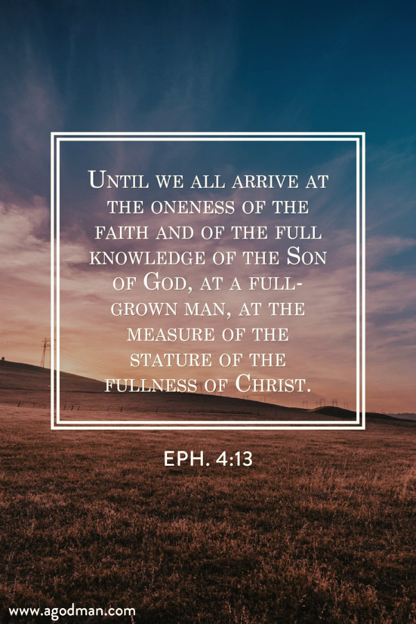 Eph. 4:13 Until we all arrive at the oneness of the faith and of the full knowledge of the Son of God, at a full-grown man, at the measure of the stature of the fullness of Christ.