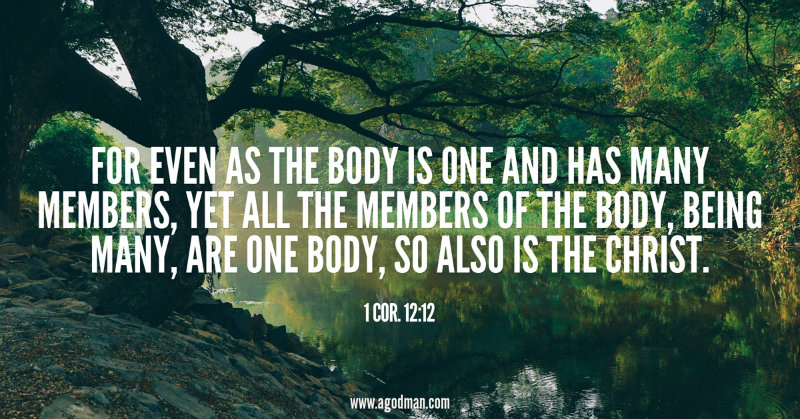 1 Cor. 12:12 For even as the body is one and has many members, yet all the members of the body, being many, are one body, so also is the Christ.