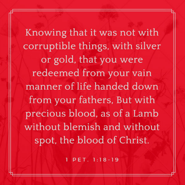 1 Pet. 1:18-19 Knowing that it was not with corruptible things, with silver or gold, that you were redeemed from your vain manner of life handed down from your fathers, But with precious blood, as of a Lamb without blemish and without spot, the blood of Christ.