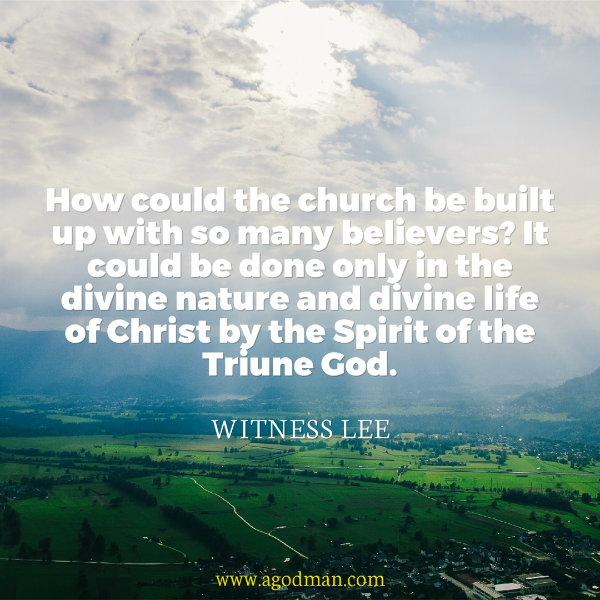 How could the church be built up with so many believers? It could be done only in the divine nature and divine life of Christ by the Spirit of the Triune God. Witness Lee