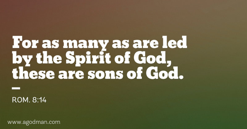 Rom. 8:14 For as many as are led by the Spirit of God, these are sons of God.