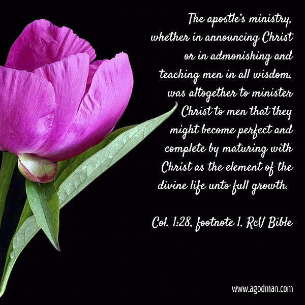 The apostle’s ministry, whether in announcing Christ or in admonishing and teaching men in all wisdom, was altogether to minister Christ to men that they might become perfect and complete by maturing with Christ as the element of the divine life unto full growth. (Col. 1:28, footnote 1, RcV Bible)