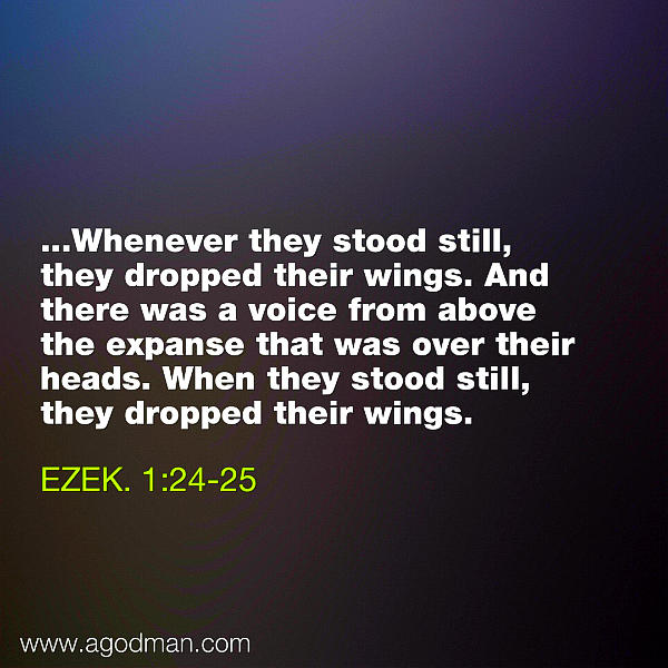 Ezek. 1:24-25 ...Whenever they stood still, they dropped their wings. And there was a voice from above the expanse that was over their heads. When they stood still, they dropped their wings.