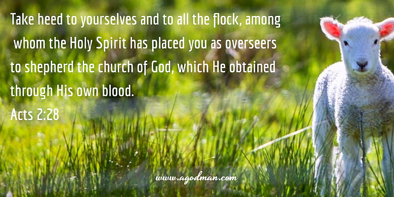 Acts 20:28 Take heed to yourselves and to all the flock, among whom the Holy Spirit has placed you as overseers to shepherd the church of God, which He obtained through His own blood.