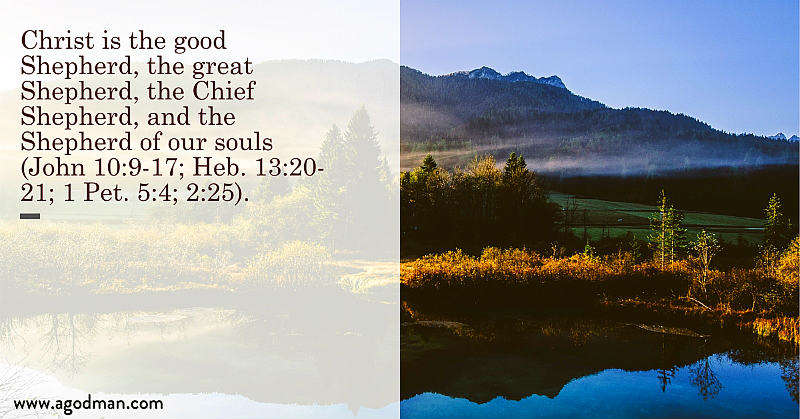 Christ is the good Shepherd, the great Shepherd, the Chief Shepherd, and the Shepherd of our souls (John 10:9-17; Heb. 13:20-21; 1 Pet. 5:4; 2:25).